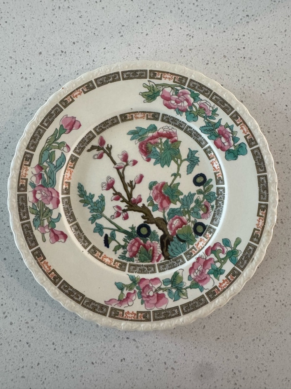 Antique English Myott “Indian Tree” Plate – 8”